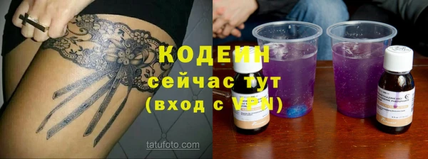 apvp Гусиноозёрск