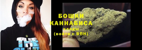 apvp Гусиноозёрск