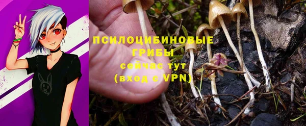 герыч Дмитров