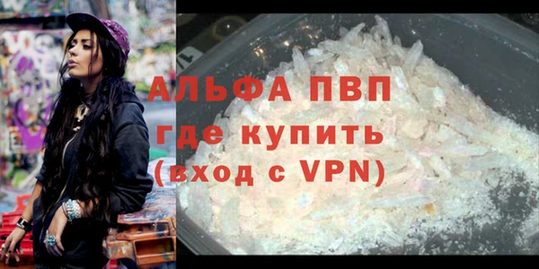 ешки Гусев
