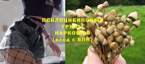ешки Гусев