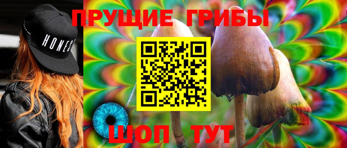 Псилоцибиновые грибы прущие грибы Еманжелинск