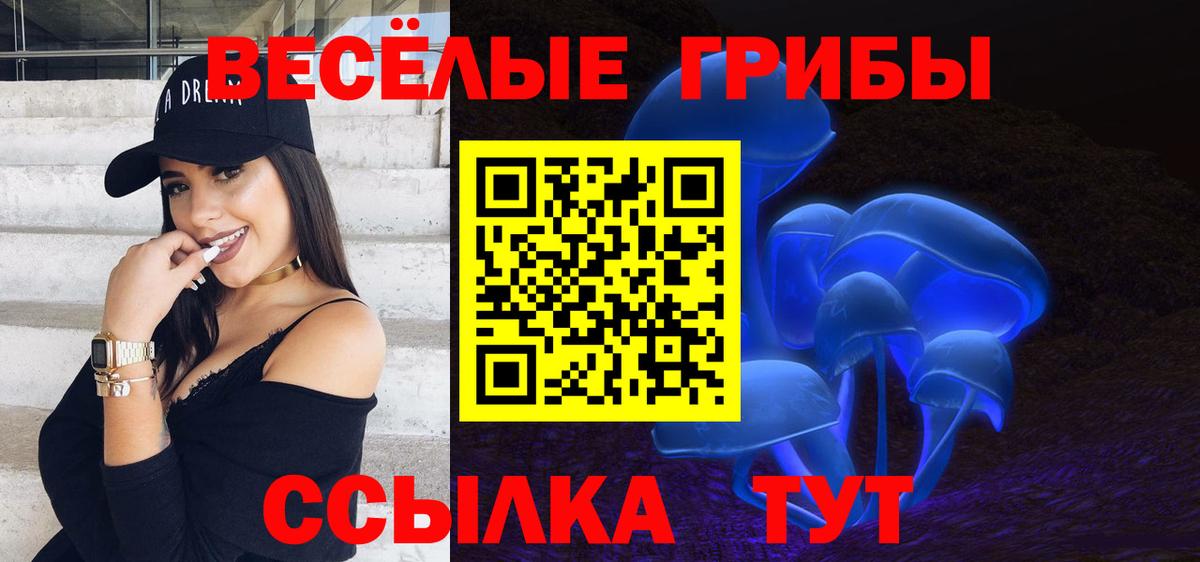 даркнет сайт  Псилоцибиновые грибы Cubensis  Вход с VPN  Еманжелинск 